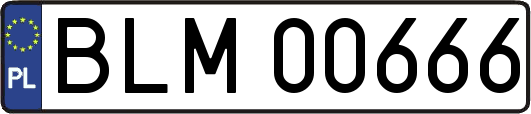 BLM00666