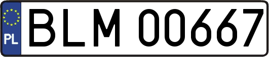 BLM00667