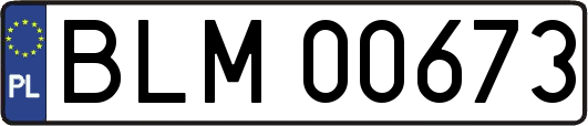 BLM00673