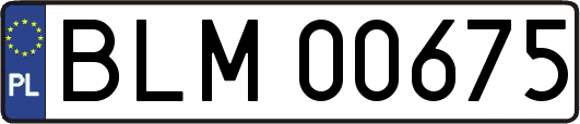 BLM00675