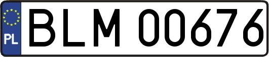 BLM00676