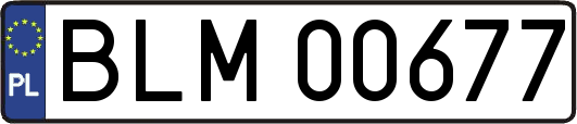 BLM00677