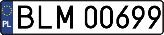 BLM00699