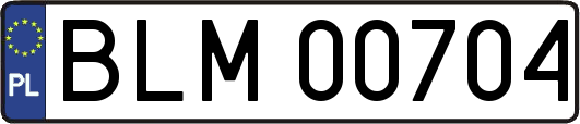BLM00704