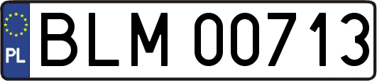 BLM00713