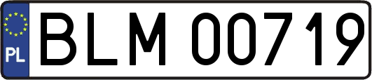 BLM00719