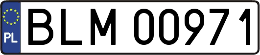 BLM00971