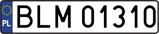 BLM01310