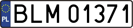 BLM01371