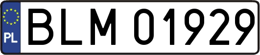 BLM01929