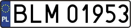 BLM01953