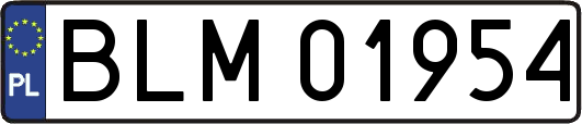 BLM01954