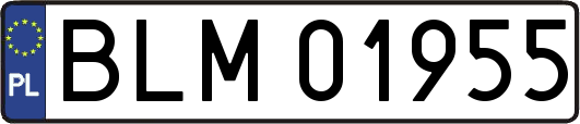 BLM01955
