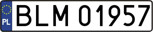 BLM01957