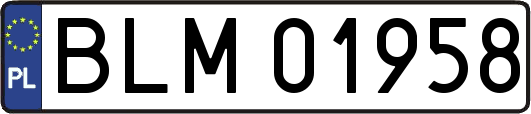 BLM01958