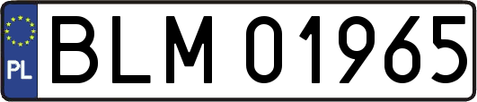 BLM01965