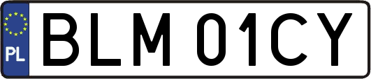 BLM01CY