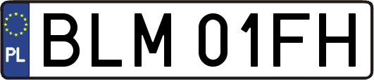 BLM01FH