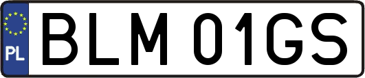 BLM01GS