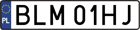 BLM01HJ