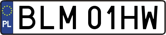 BLM01HW