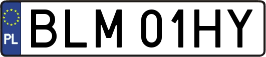 BLM01HY