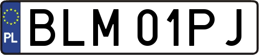 BLM01PJ