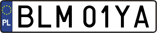 BLM01YA