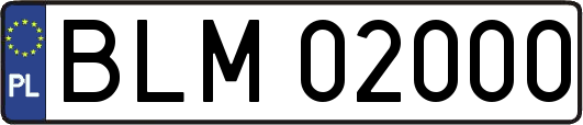 BLM02000