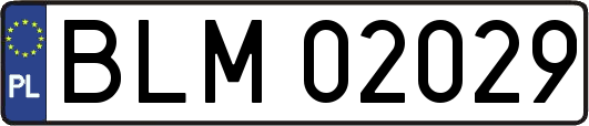 BLM02029