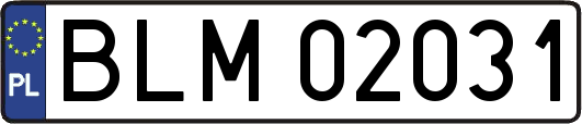 BLM02031