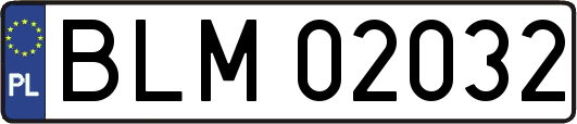 BLM02032