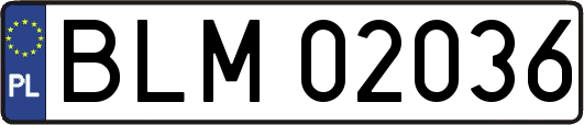 BLM02036
