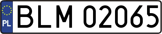 BLM02065