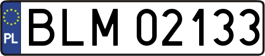 BLM02133