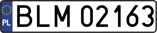 BLM02163