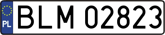 BLM02823