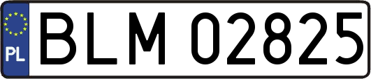 BLM02825