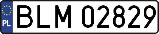 BLM02829