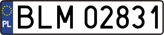 BLM02831