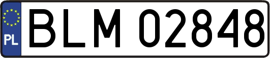 BLM02848