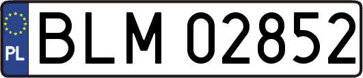 BLM02852