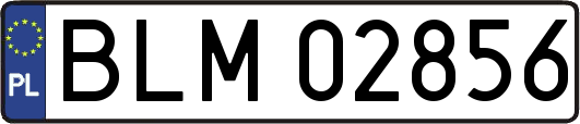 BLM02856