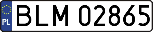 BLM02865