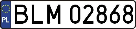 BLM02868