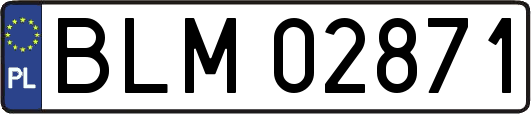 BLM02871