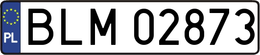 BLM02873