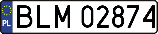 BLM02874