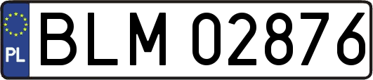 BLM02876