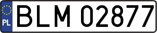 BLM02877